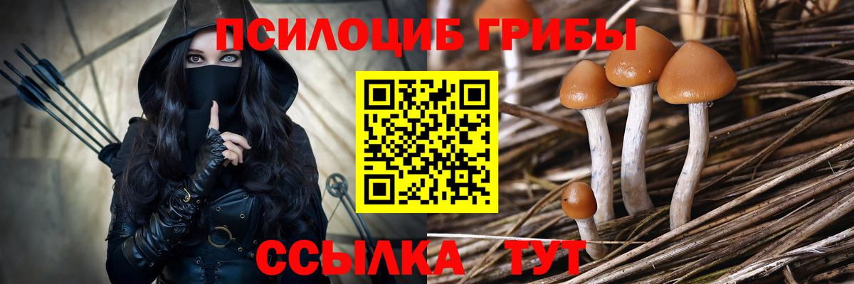 Галлюциногенные грибы GOLDEN TEACHER Глазов